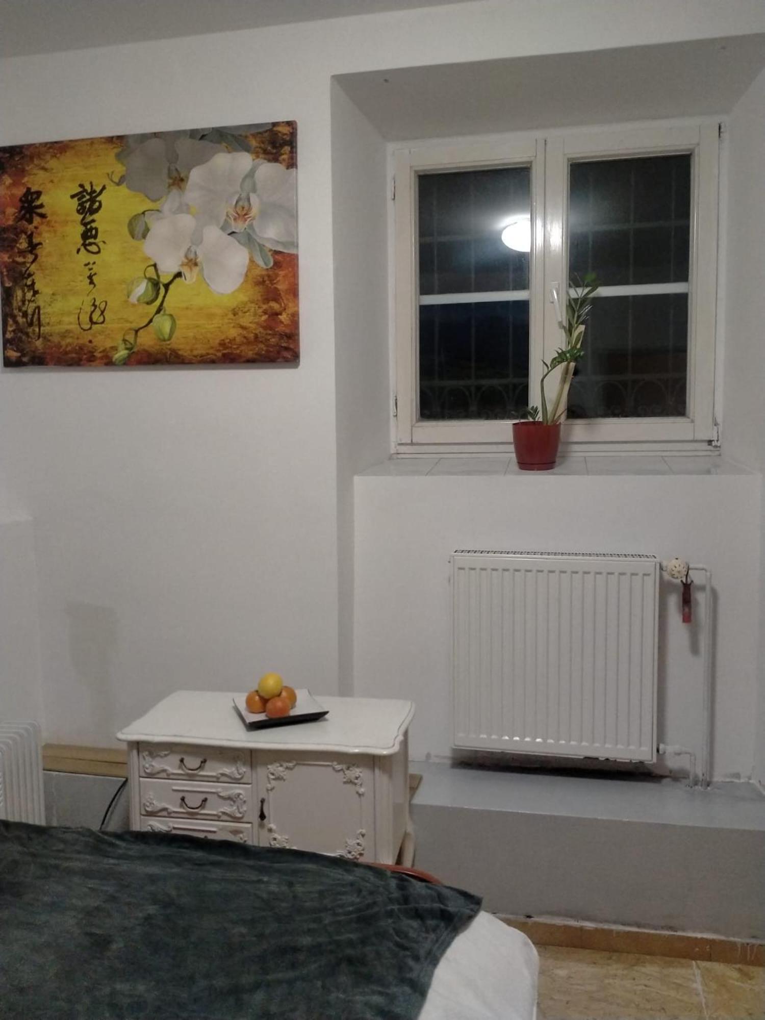 Lemon Tree Hostel Krasków Eksteriør bilde